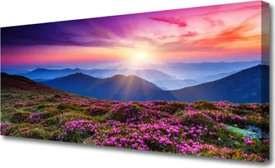 Produktbild von Tulup Leinwand-Bilder 125x50 Wandbild Canvas Kunstdruck Gebirge Wiese Blume Landschaft