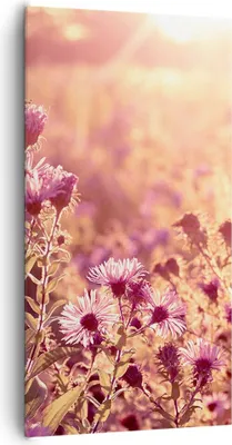 Produktbild von Bild auf Leinwand - Leinwandbild - Einteilig - Wiese Blumen Sonne - 65x120cm - Wand Bild - Wanddeko - Wandbilder - Leinwanddruck - Bilder - Wanddekoration - Leinwand bilder - Wandbild - PA65x120-4819