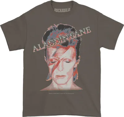 Produktbild von David Bowie - "Aladdin Sane" T-Shirt für Herren/Damen Uni RO300 (L) (Anthrazit)