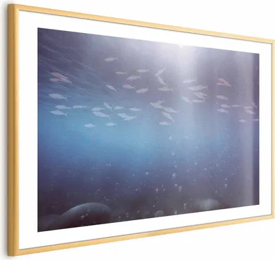 Produktbild von Posterpapier Poster - Fish in the Depths 60x40 cm Tiere g-C-10143-ao-a