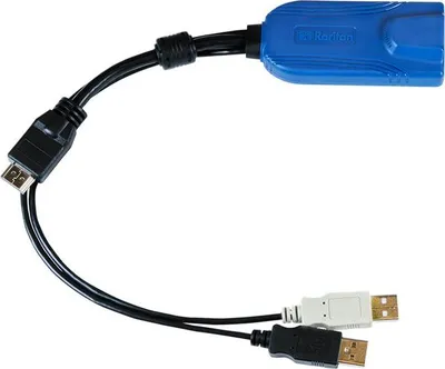 Image de Module d'interface informatique Raritan Dominion KX II