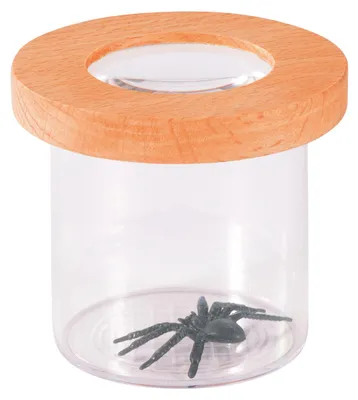 Produktbild von EDUPLAY 150159 Lupendose mit Holzdeckel