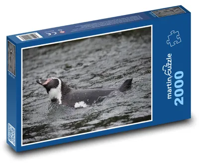 Obrázok produktu pre Puzzle 2000 Tučniak v mori - martinpuzzle