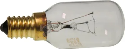 Close-up shot of a small incandescent light bulb with a threaded base, designed for appliances like ovens.