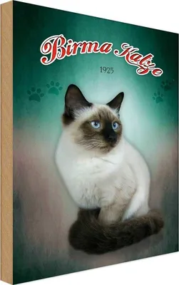 Produktbild von vianmo Holzschild 30x20 cm Katze Birma 1925 Tier Haustier