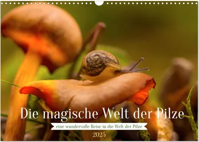 Produktbild von Die magische Welt der Pilze (Wandkalender 2025 DIN A3 quer), CALVENDO Monatskalender