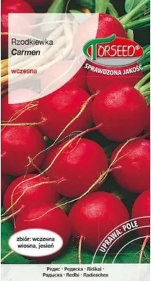 Zdjęcie produktu dla Nasiona rzodkiewki Carmen 10g - Torseed
