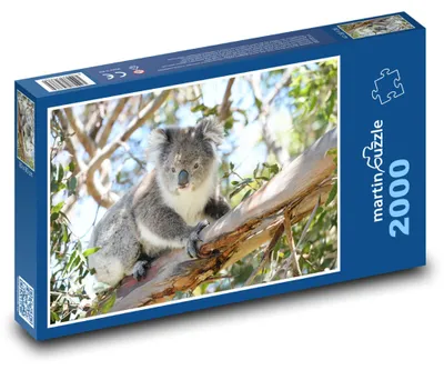 Obrázok produktu pre martinpuzzle - Puzzle 2000 - Koala, vacnatiec