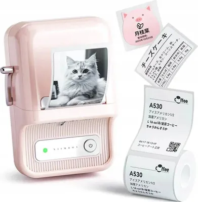 Image de NIIMBOT Niimbot B21S Portable Label Printer (pink)