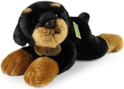 Immagine prodotto di Peluche Rottweiler 30 Cm Ecologico