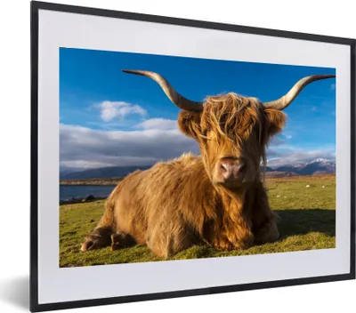 Produktbild von MuchoWow® MuchoWow® Gerahmtes Poster Schottische Hochlandrind - Tiere - Gras 60x40 cm - Poster mit zchwarzem Bilderrahmen - Schlafzimmer - Plakat in Rahmen - Drucken