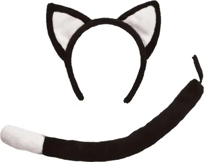 Produktbild von Bristol Novelty Kinder Katzen-Kostüm-Set BN1227 (Einheitsgröße) (Schwarz)