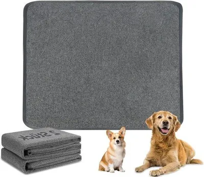 Produktbild von Famanu Trainingspads wiederverwendbar - rutschfest und super saugfähig - 100 cm x 70 cm - 2 Stück