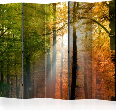 Zdjęcie produktu dla Akustyczna ścianka działowa leśny ekran fotograficzny 225x172 cm drukowany po obu stronach na włókninie Akustyczna piankowa ścianka działowa hiszpańska ściana ekran prywatności domowe biuro drzewa natura botanika słońce c-B-0444-z-c