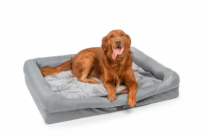 Produktbild von Hundematte Hundebett mit Abnehmbarem Kissen, waschbar und rutschfest Schlafplatz Hundesofa Tierbedarf, Hellgrau, 100x80x9cm