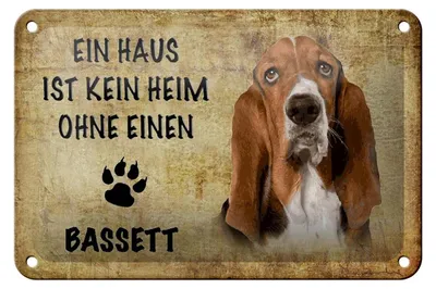 Produktbild von Blechschild Spruch 18x12cm Bassett Hund ohne kein Heim