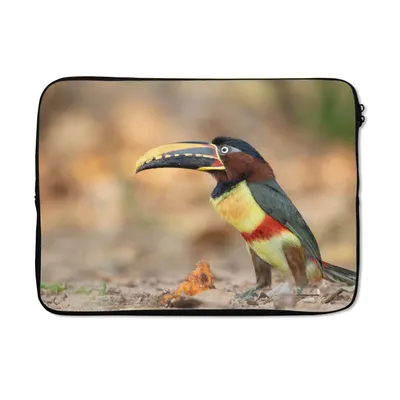 Produktbild von MuchoWow® Laptop Hülle 13 Zoll Vogel - Tukan - Federn - Natur Laptoptasche - Laptophülle - Sleeve - Rundumschutz