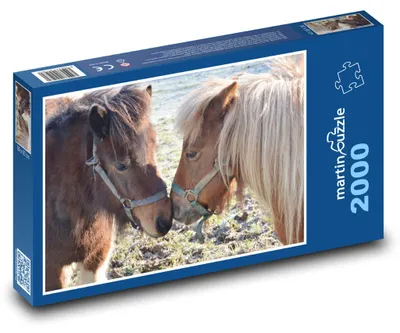 Obrázek produktu pro martinpuzzle - Puzzle 2000 - Shetlendský pony, zvíře