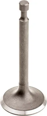 Obrázek produktu pro Výfukový ventil Cedrus Y196V 480486
