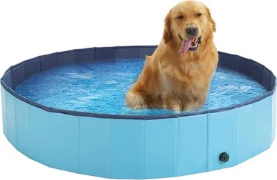 Immagine prodotto di Piccola piscina per cani in PVC blu