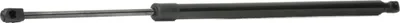 Produktbild von RIDEX 219G0789 Gasfeder Heckklappendämpfer für JEEP Commander (XK, XH) 655mm