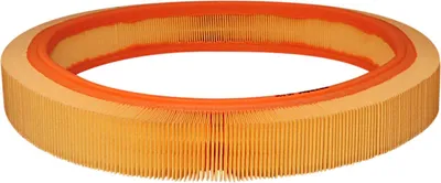 Produktbild von FILTRON AR 036 Luftfilter passend für MERCEDES-BENZ 190 (W201)