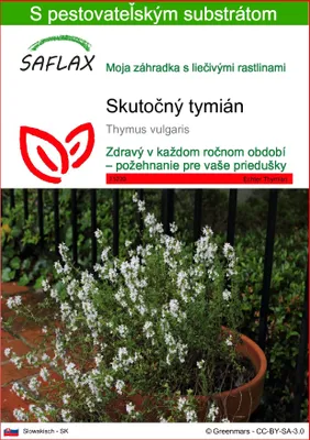 Obrázok produktu pre SAFLAX - Skutočný tymián - Thymus vulgaris - 200 Semená - S pestovateľským substrátom bez klíčkov