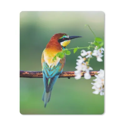 Produktbild von MuchoWow® Mauspad Mousepad Vogel - Bienenfresser - Blumen 30x40 cm - Mousepads - Maus Mat - Pad - Mausunterlage - Mausmatten