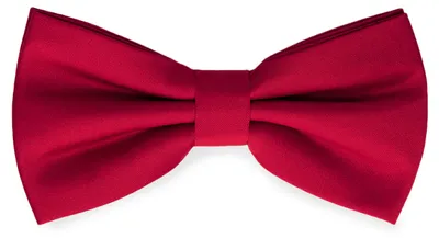 Produktbild von Ladeheid Elegante Herren Fliege - Hochwertig Matt Verstellbar BMM (12cm x 6cm)