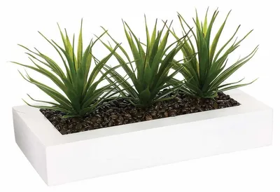 Produktbild von Atmosphera Créateur d'intérieur künstliche Aloe vera 3 Stk. Kunststoff MDF-Platte weiß grün braun 17,5 cm x 35 cm x 15 cm