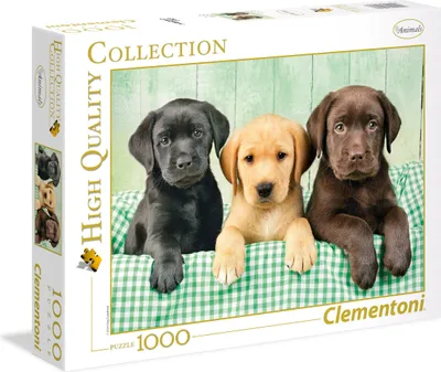 Zdjęcie produktu dla High Quality Collection - 1000 Teile Puzzle - Drei Labradore