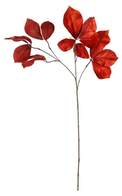 Produktbild von Countryfield Kunstblume Parthenocissus orange Dekoration 80cm