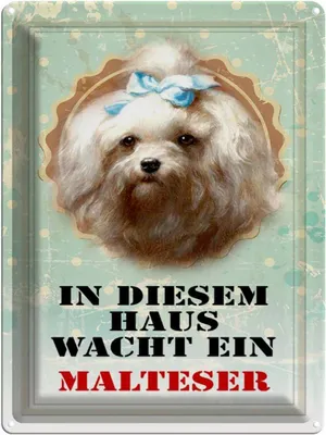 Produktbild von vianmo Blechschild 40x30 cm Hund in diesem Haus wacht Malteser
