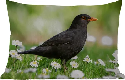 Produktbild von MuchoWow® Outdoor Kissen - Vogel - Amsel - Blumen - 50x30 cm - Wetterfest - Lounge Kissen - Sofa kissen - Wohnzimmer Dekoration