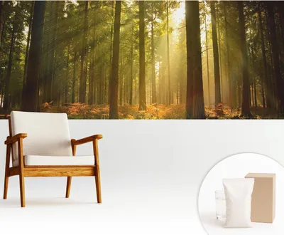 Produktbild von Fototapete selbstklebend - 250x104 cm - Tapete - Wandtapete - Wandbilder - Klebefolie - Dekofolie - Tapete Folie - Wand - Dekoration - Wohnzimmer - Morgen im Wald