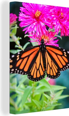 Produktbild von OneMillionCanvasses® - Leinwandbilder - 90x140 cm, Schmetterling - Botanisch - Blume, Wandbilder Kunstdruck Wanddekoration - Foto auf Leinwand - Gemälde auf Holzrahmen  - Wandschmucke - Schlafzimmer