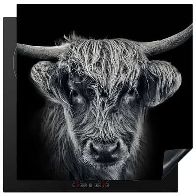 Produktbild von KitchenYeah© Herdabdeckplatte Schottischer Highlander - Schwarz - Kuh - Tiere , 78x78cm, Küche Deko, Glaskeramikkochfeld Herdabdeckung, Abdeckplatte fùr Kochfeld