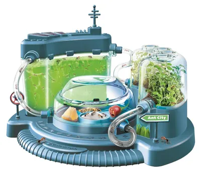 Imagen del producto de Clementoni: Juego educativo "Granja de Hormigas", experimento de ciencias naturales