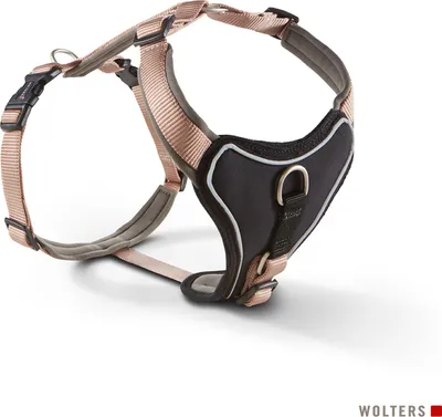 Produktbild von Wolters Geschirr Professional Comfort, Größe:27 - 32 cm, Farbe:champanger/trüffel