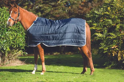 Image de Horseware Liner 200 Liner Navy/Navy , Horseware Taille de couverture:165 cm / 7`3