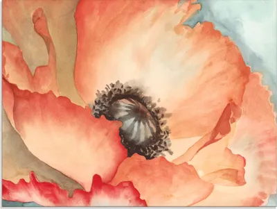 Produktbild von ARTland Glasbild Wasserfarben Mohn II Größe: 80x60 cm