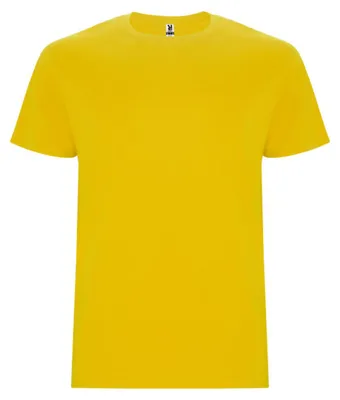 Image de Roly - T-shirt « Stafford » pour homme LT4839 (M) (jaune)