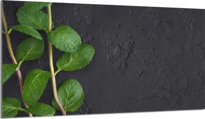 Obrázek produktu pro Krycí deska varné desky 90x52 Skleněná krycí deska varné desky splashback Dekorativní deska na krájení, břidlicová máta