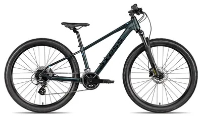 Produktbild von Axess Stipe 26 Pro 26 Zoll dunkelgrün 33 cm