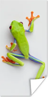 Produktbild von MuchoWow® Poster Frosch - Tiere - Grün 60x120 cm - Wandschmuck