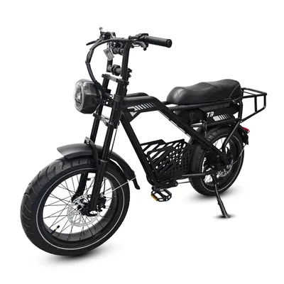 Produktbild von T3 E-Bike Fatbike Cityrad 20×4,0" Elektrofahrrad, 864 Wh (48V 18Ah) Einbauakku, Shimano 7-Gang, Scheibenbremsen, LCD & LED, NFC, Pedelec 25 km/h