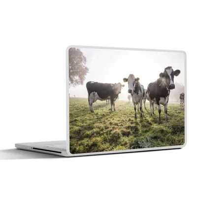 Produktbild von MuchoWow® Laptop Aufkleber Sticker Cover Kühe - Licht - Gras - Tiere 32.5x23.5 cm - Sticker für Laptop - Selbstklebend