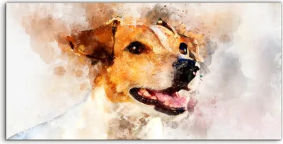 Produktbild von Coloray - Glasbild - 120x60 cm - Wandbild - Glasbilder - Gemälde von Jack Russell Terrier Hund
