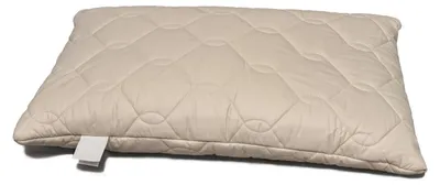 Bio Buchweizenkissen 40x60 cm, gesteppt, mit Inlet, ca. 2200 g