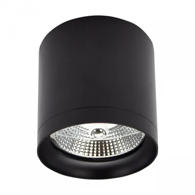 A black cylindrical ceiling light with a reflective interior.